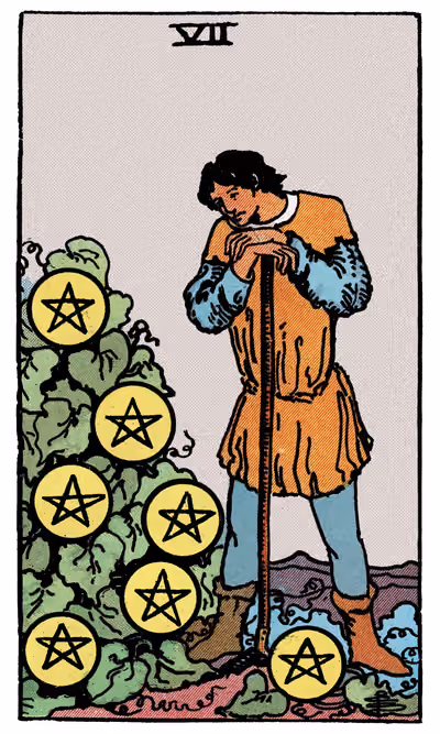 Seven of Pentacles - Tarot Card