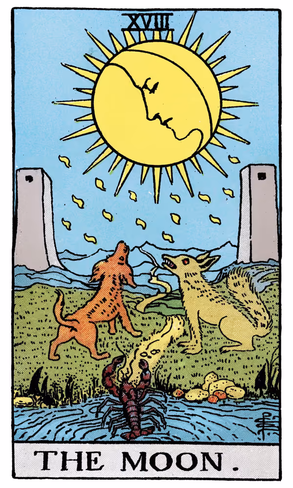 The Moon - Tarot Card