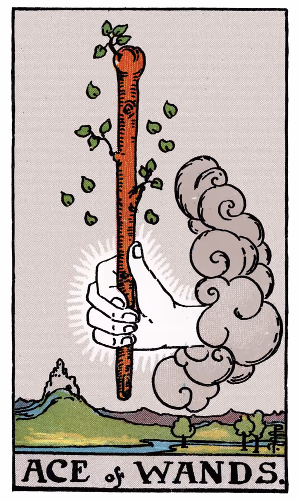 Ace of Wands - Tarot Card
